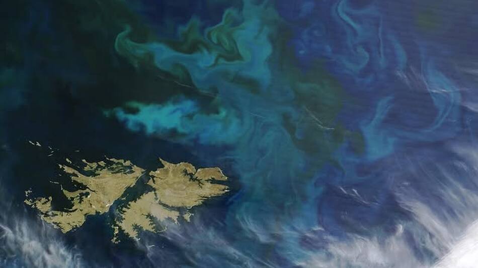 Islas Malvinas. Foto: NASA/Jeff Schmaltz