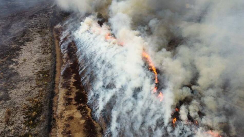 Incendios en el Delta. Foto: NA.