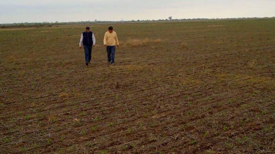 Economía - campo