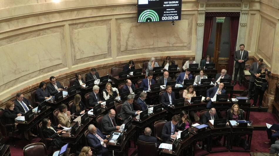 Debate de Ficha Limpia en el Senado. Foto: NA.