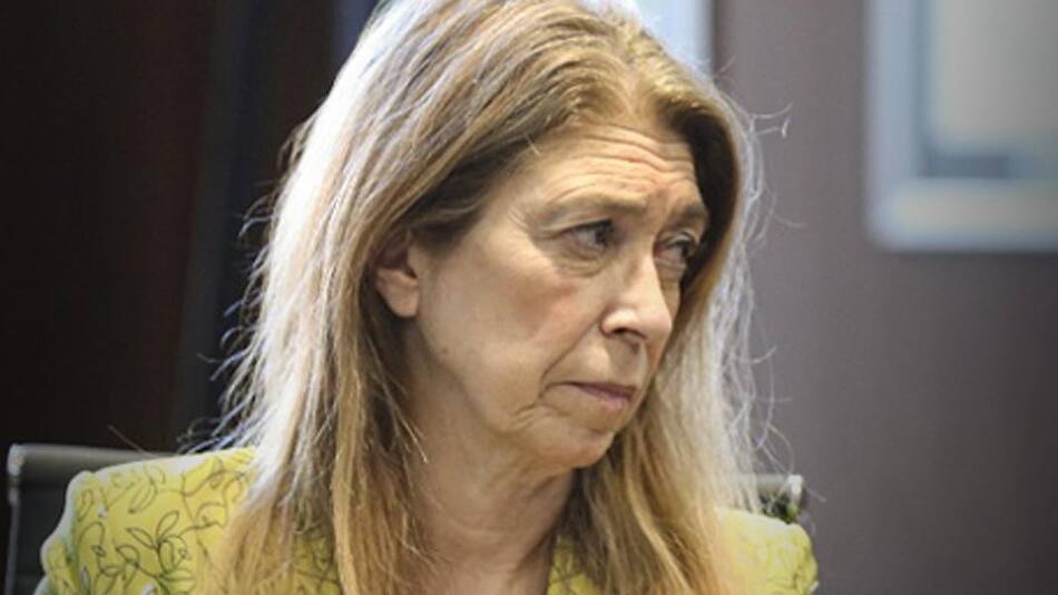 Débora Giorgi, Gobierno, NA