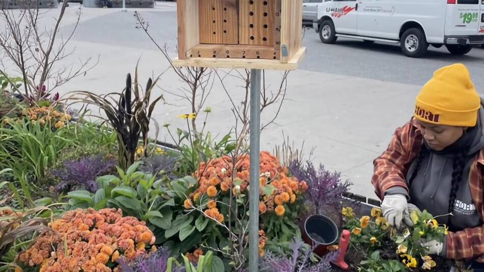 Hoteles y búnkeres para abejas en Nueva York. Foto: EFE.