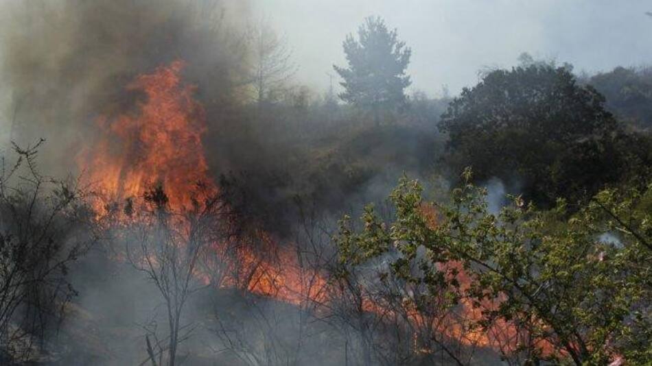 Incendios forestales en Chile