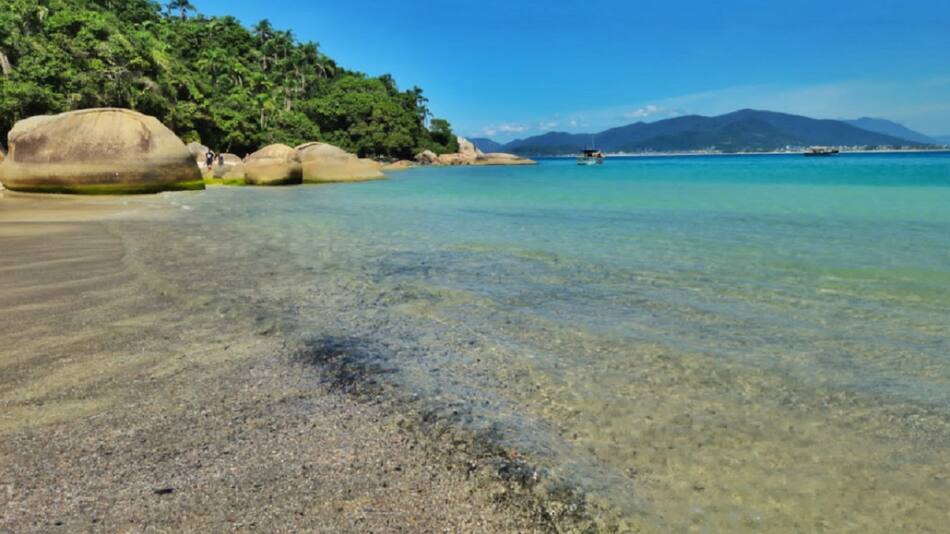 Ilha do Campeche, Brasil. Foto: captura Google Maps.