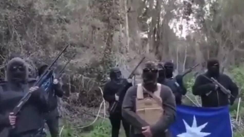 Comuneros mapuches exhibieron sus armas en un video