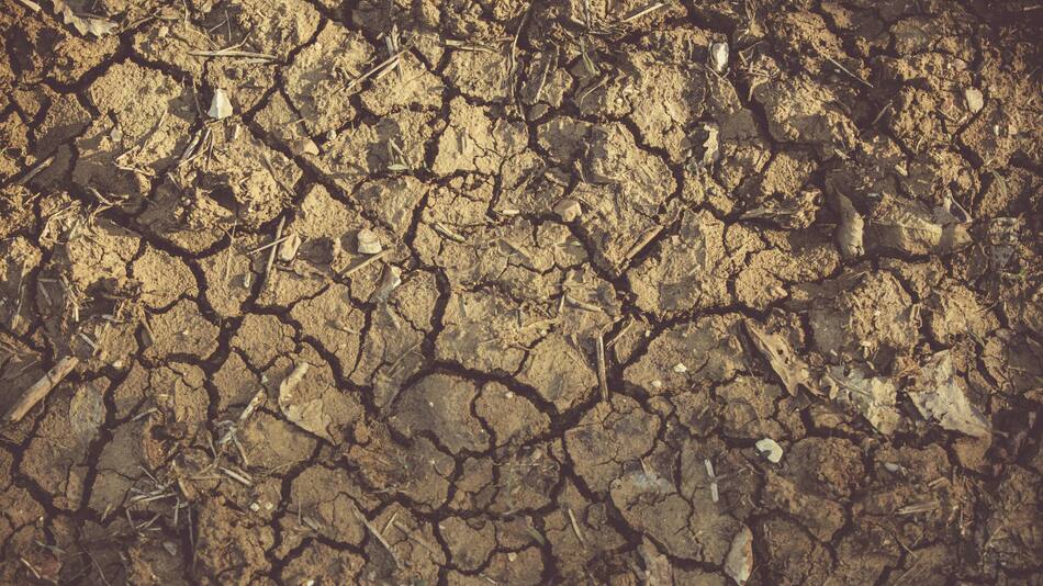 El calentamiento global multiplicará los cambios bruscos de temperatura en todo el mundo. Foto: Pexels