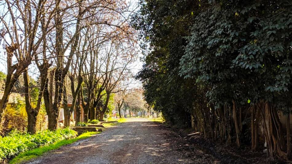 Tomás Jofre, pueblo.