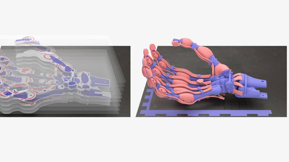 Crean una mano robótica blanda con huesos, ligamentos y tendones mediante impresión 3D. EFE