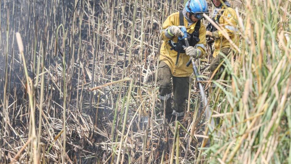 Incendios en Corrientes, NA
