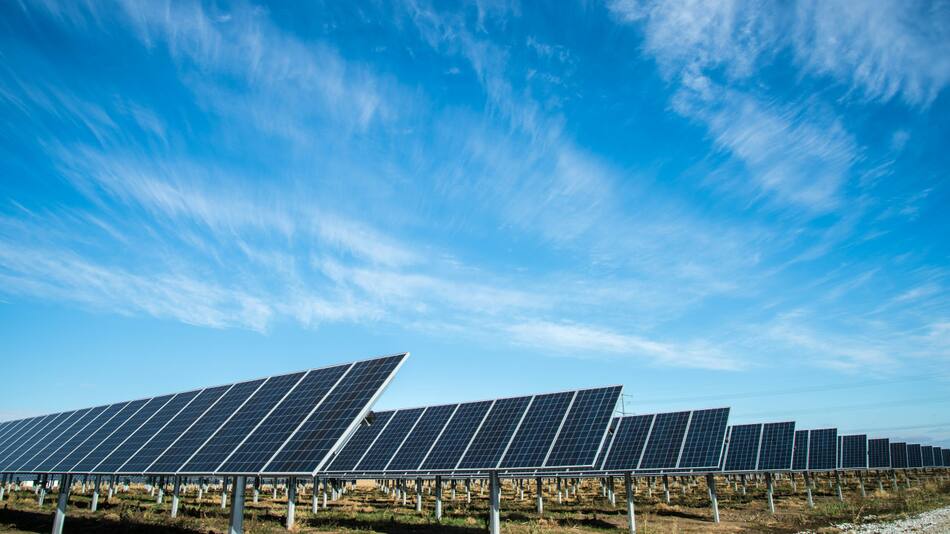 Paneles solares. Foto: Unsplash