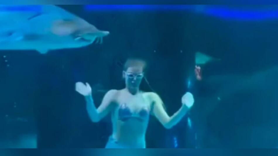 Joven disfrazada de sirena es atacada por un pez gigante en un acuario en China. Foto: X / @actualidadmundo.