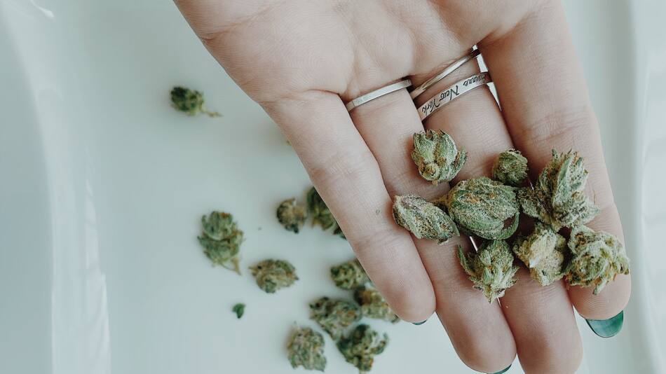 Quienes consumen cannabis tienen el doble de posibilidades de morir por enfermedades cardiovasculares. Foto: Unsplash.