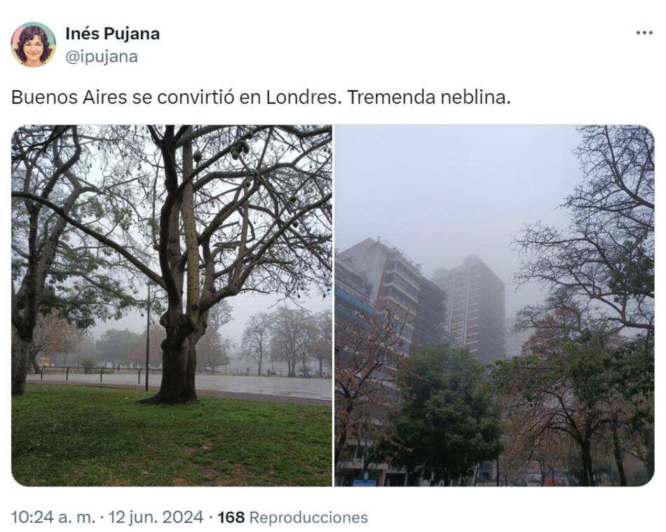 Las repercusiones en X por la neblina en Buenos Aires.