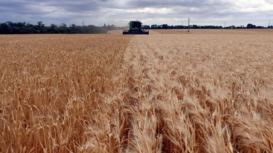 Cosecha de cebada en la región de Odesa, Ucrania. Foto: Reuters