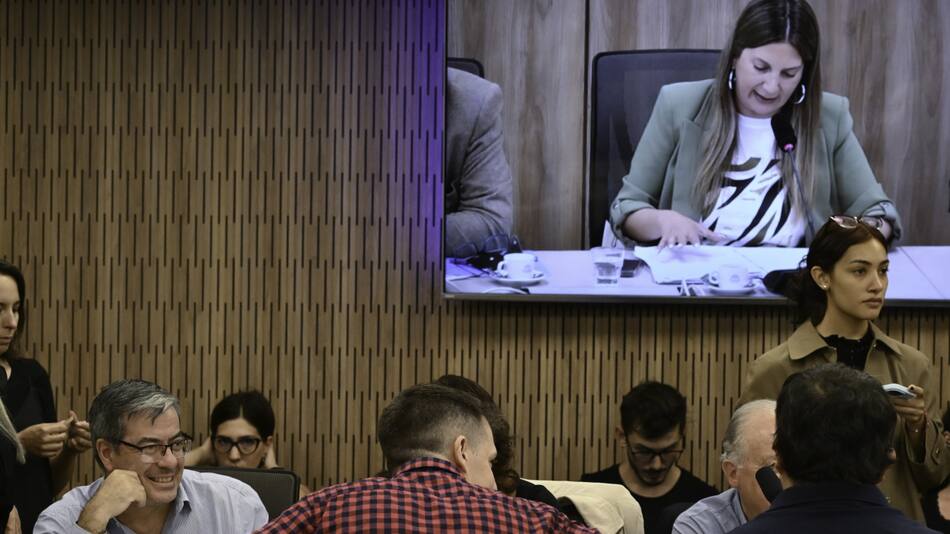 Debate en comisión del proyecto Ficha Limpia. Foto: NA.