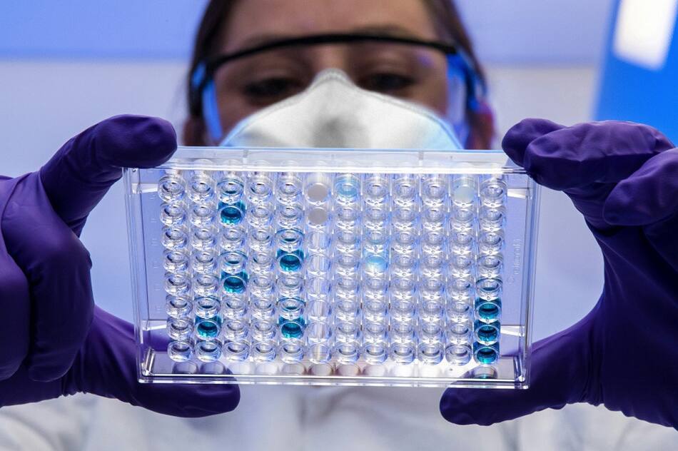 Investigación, ciencia. Foto: Unsplash.