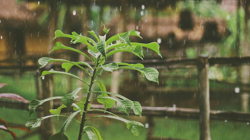 Lluvia, tormenta, agua. Foto: Unsplash