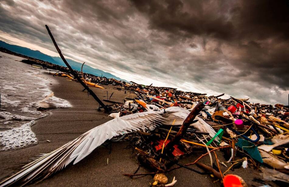 Plasticósfera, un documental sobre la contaminación de plásticos y microplásticos. Foto: Sergio Izquierdo