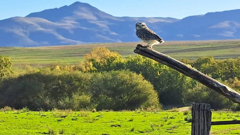 Dónde se encuentra el cerro del Pan de Azúcar.