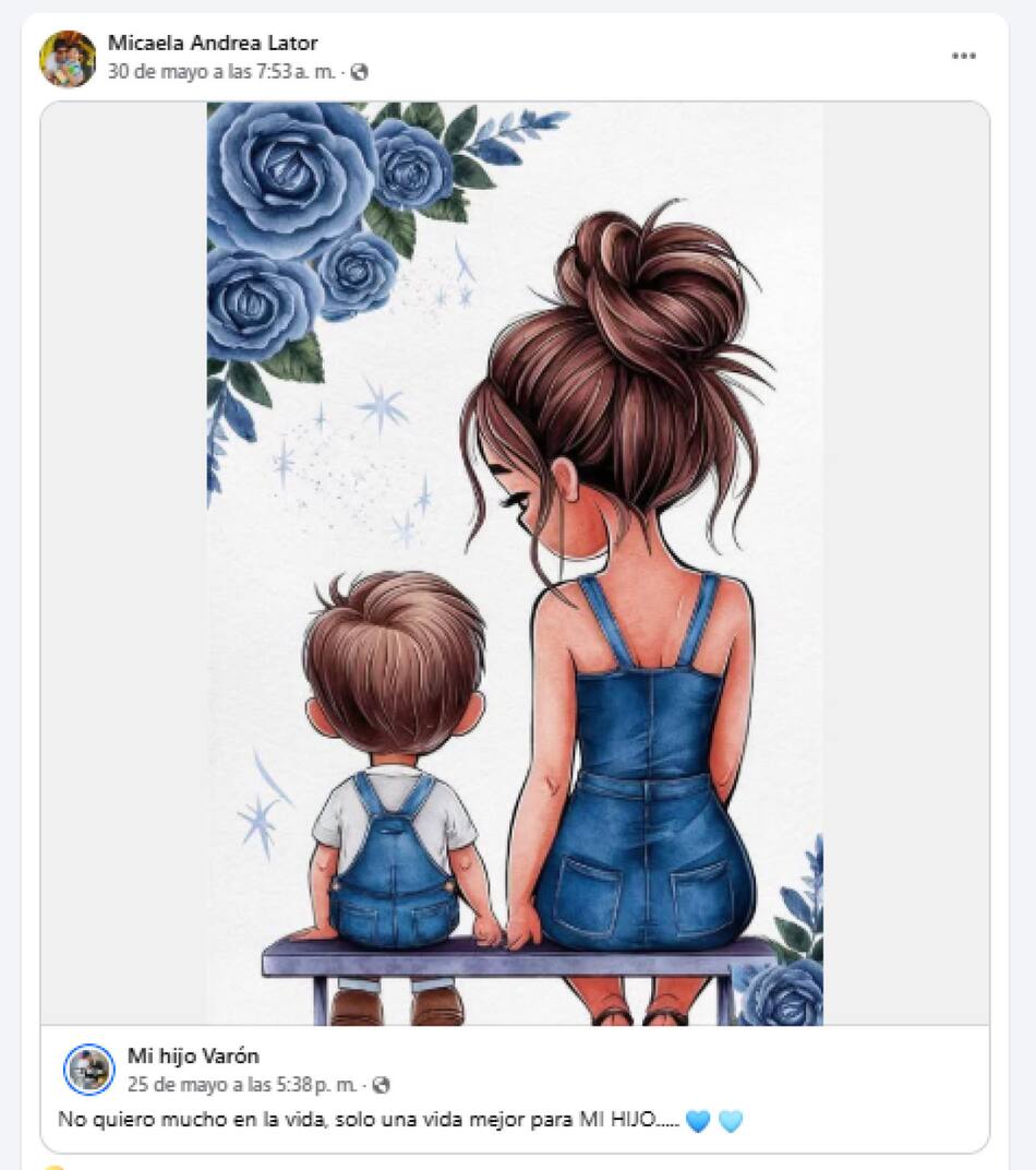 El posteo de Micaela Andrea Lator antes de matar a su hijo y quitarse la vida. Foto: Facebook / Micaela Andrea Lator.