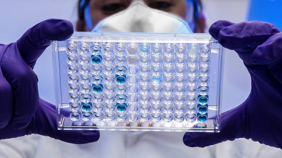 Investigación, ciencia. Foto: Unsplash.