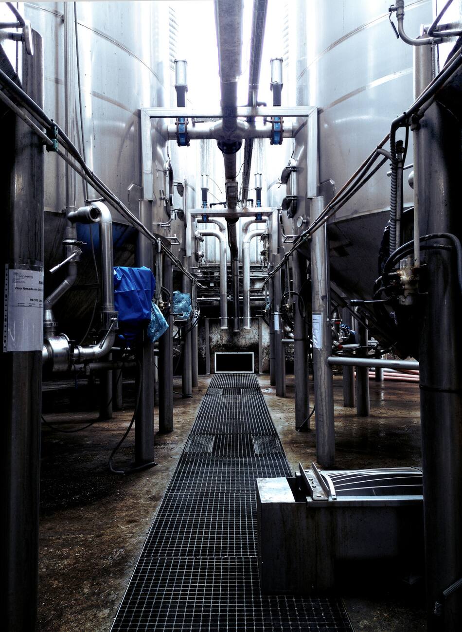 Producción de leche; fábrica; empresa. Foto: Unsplash.