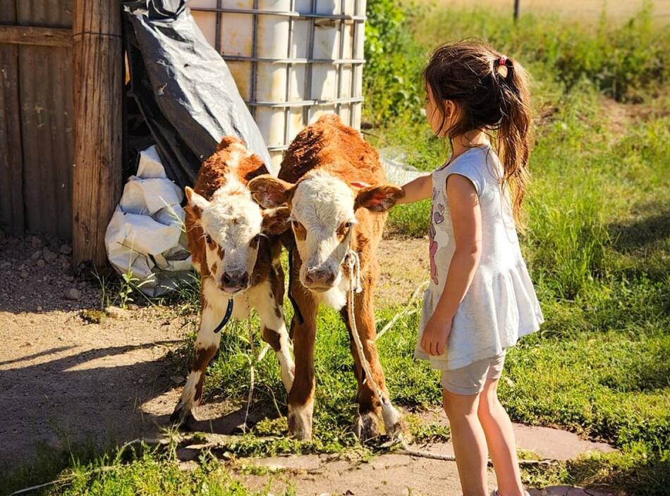 Posta Laloni tiene una granja con animales para los más pequeños. Foto: Instagram @postalaloni