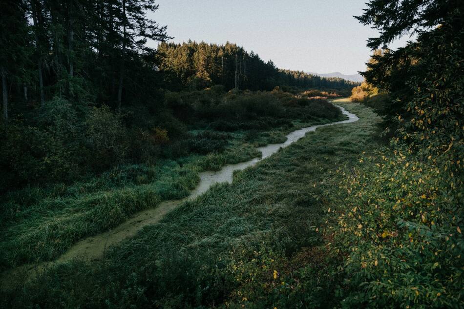 Ríos. Foto Unsplash