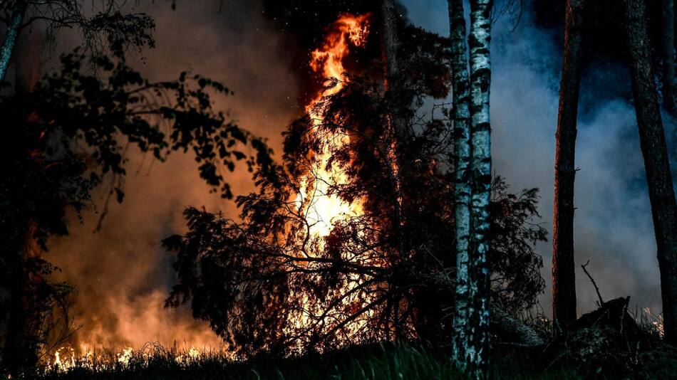 Incendios en el Parque Nacional Nahuel Huapi. Foto: EFE.