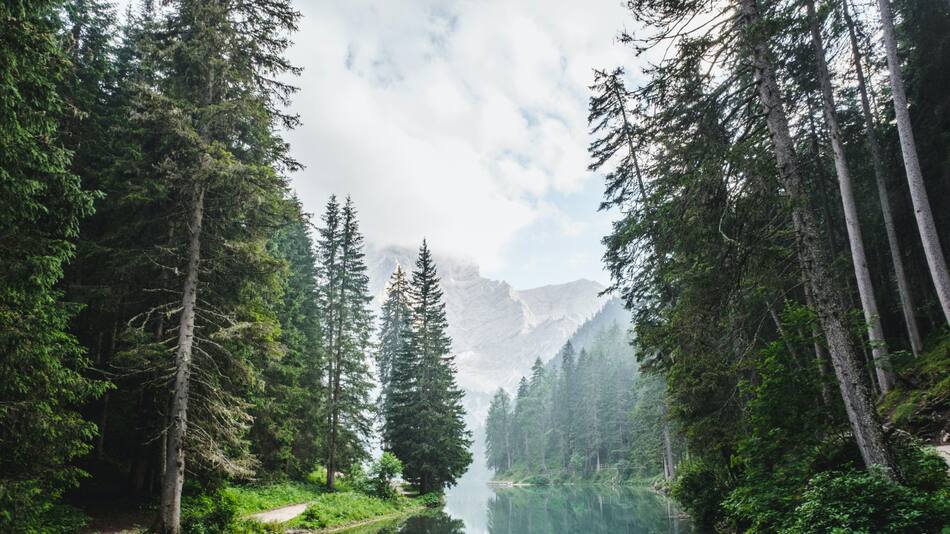 Muralla verde en China. Foto: archivo Unsplash