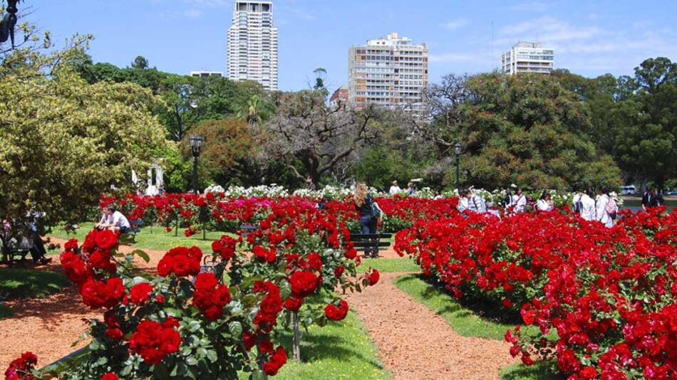 El Rosedal de Palermo. Foto Gobierno de la Ciudad