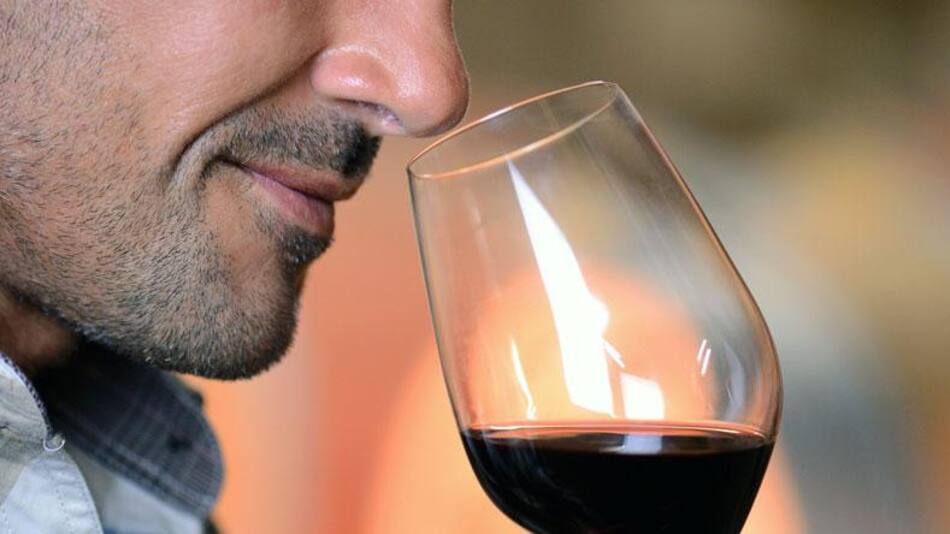 Enólogo, vino, foto Blog del vino