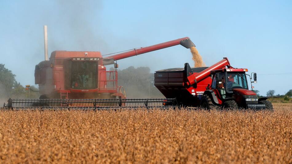 Cosecha de trigo. Foto: Reuters.