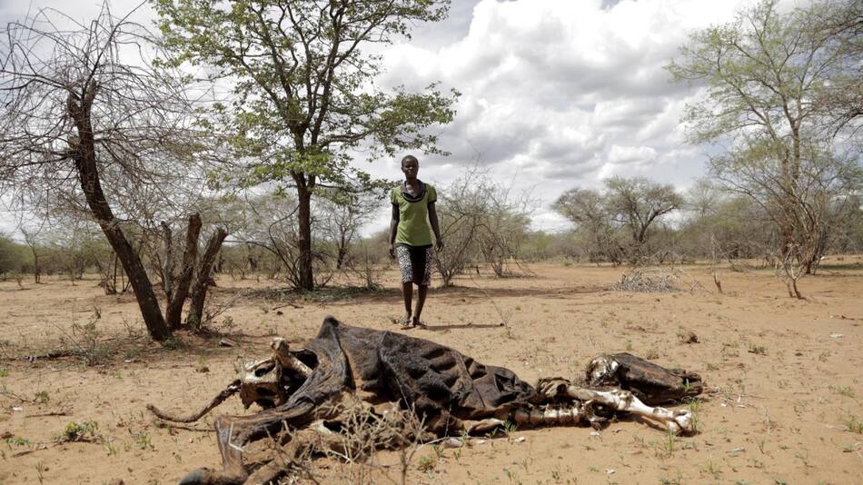 El Niño podría causar graves consecuencias en África. Foto: EFE.