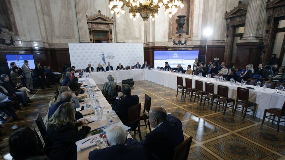 Debate de Comisión en el Senado sobre la Ley Bases. Foto: NA.
