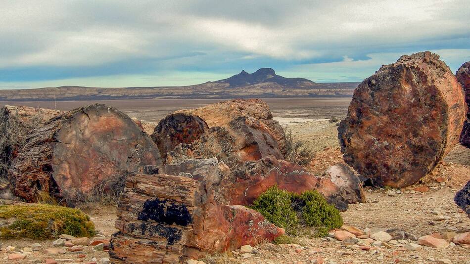 El Monumento Natural Bosques Petrificados de Jaramillo