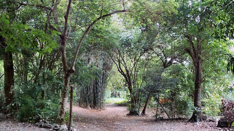 Parque Sierra San Javier. Fuente: Turismo Tucumán