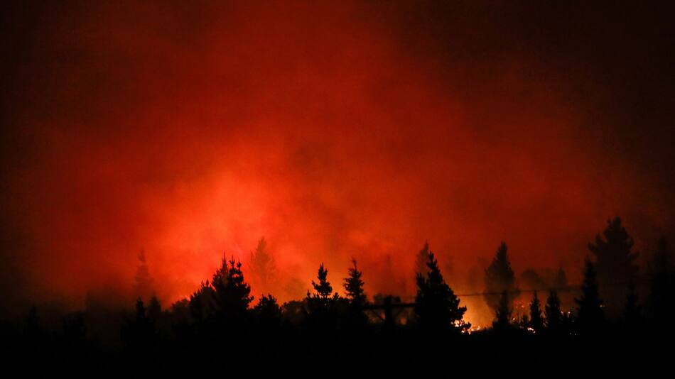 Incendios en Chubut. Foto: REUTERS/Matias Garay