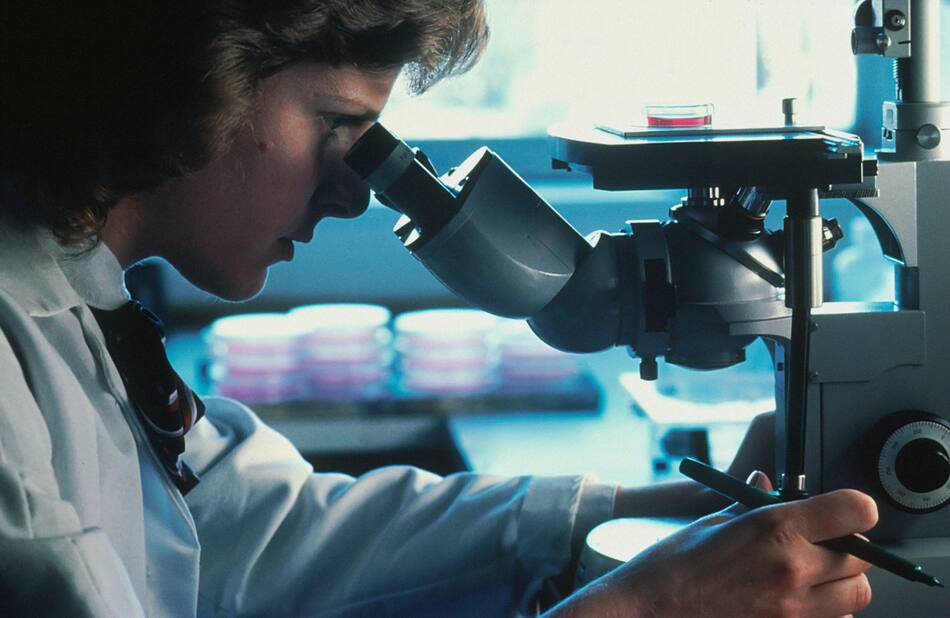 Cáncer; investigación. Foto: Unsplash