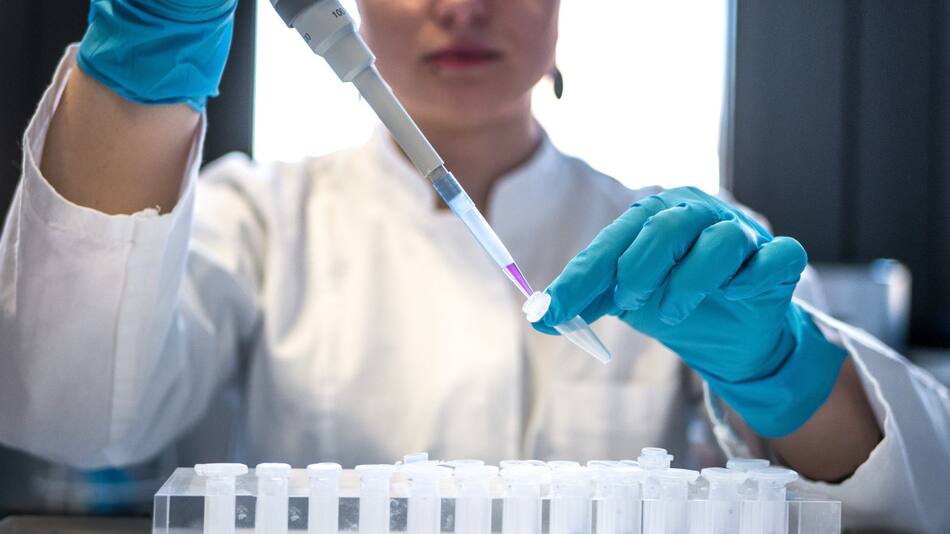 Un test de sangre experimental podría detectar el Alzheimer con más del 90% de precisión. Foto: ilustrativa, Unsplash.
