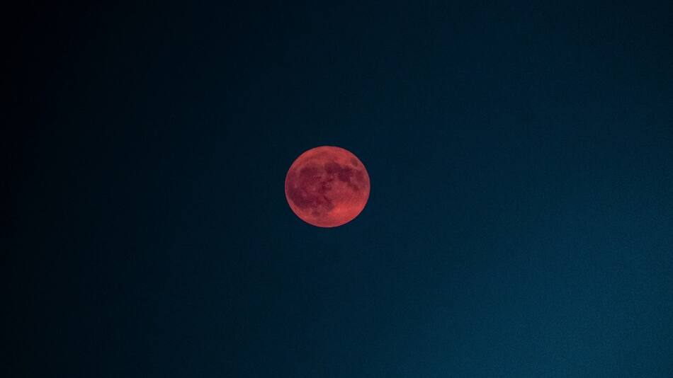Luna de Fresa tendrá lugar en junio 2025. Foto: Unsplash