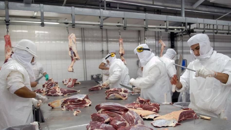 Cepo a la carne, exportaciones, NA