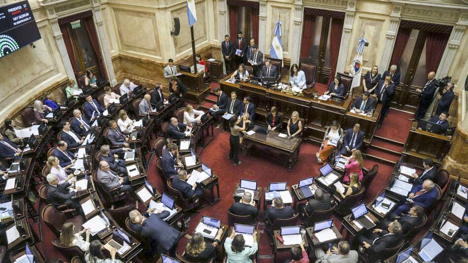 Senado de la Nación. Foto: NA/Daniel Vides.