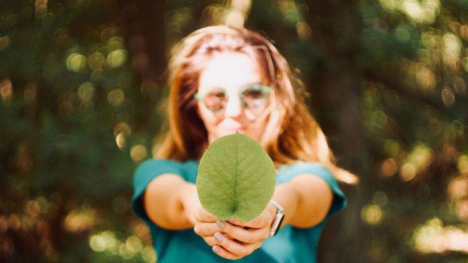 Medio ambiente. Foto: Unsplash.