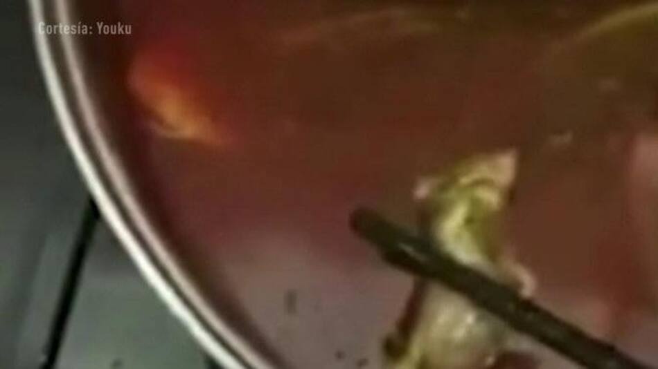 Embarazada encontró una rata en su sopa, China