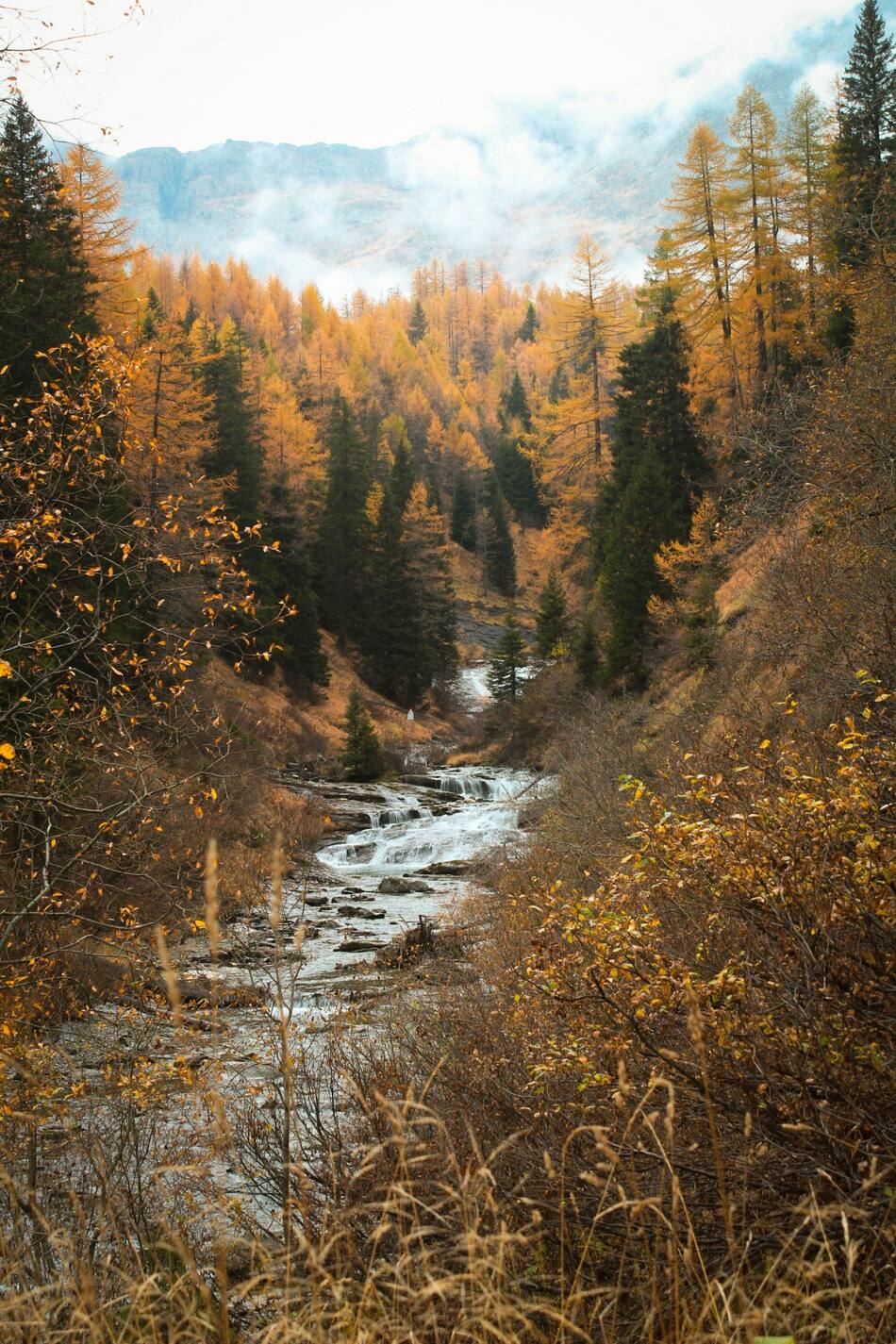 Ríos. Foto Unsplash