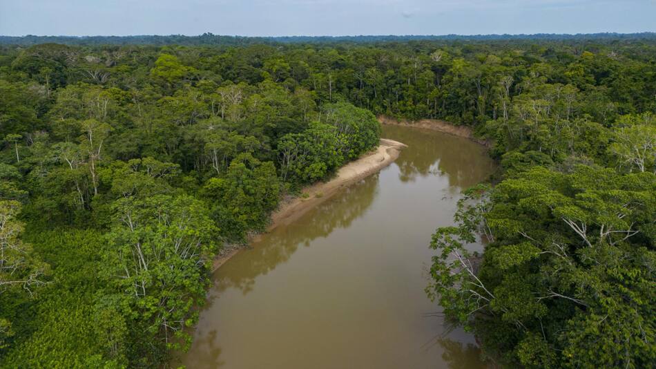 Unos 40 países se unieron para proteger ríos y humedales, vitales para el ecosistema. Foto: EFE.