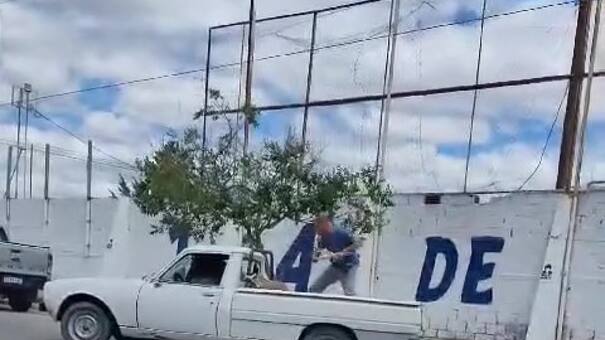 Insólito: un hombre rompió la camioneta de su amigo porque no le regaló huevos de gallina