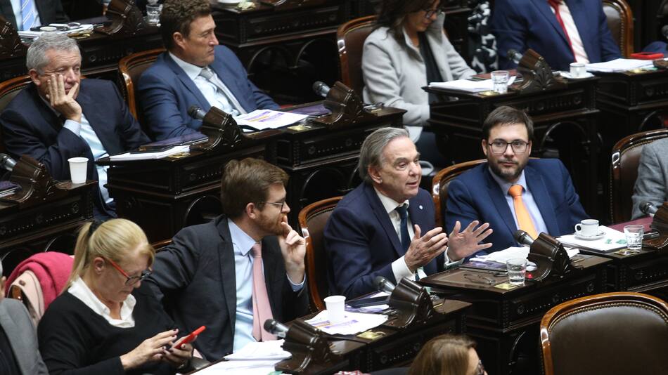 Miguel Ángel Pichetto en Diputados.