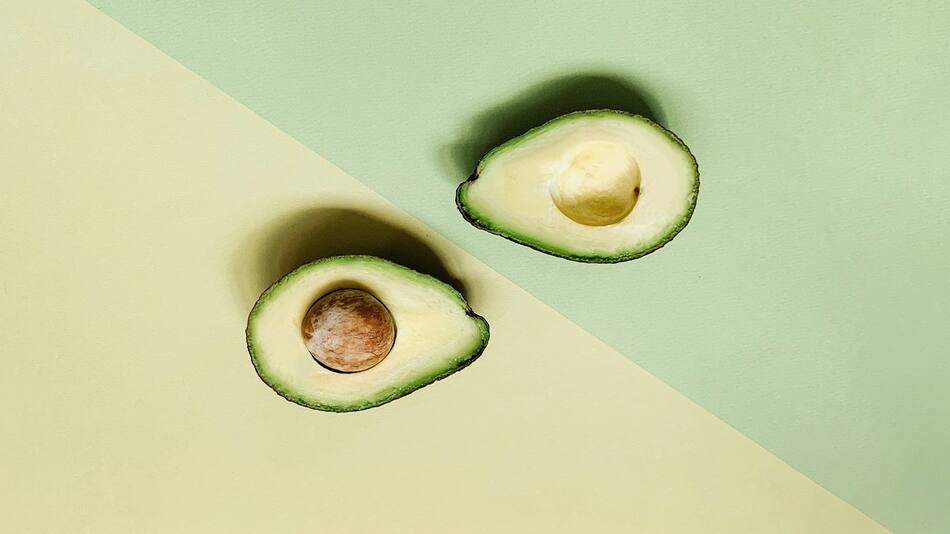 Palta; aguacate; fruto.
